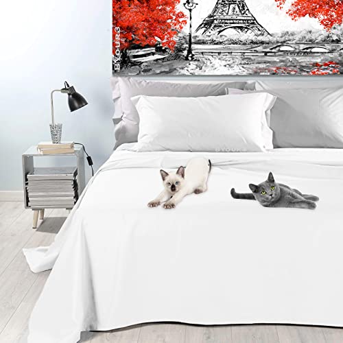 Byour3 - Bettüberwurf Bio-Baumwolle Gemischte Doppelbett Einzelbett Queen Size Bettdecke Sommer Frühling Dekorative Decke Widerstandsfähige Abdeckung Schlafzimmer (Schneewittchen, Einzelbett) von Byour3