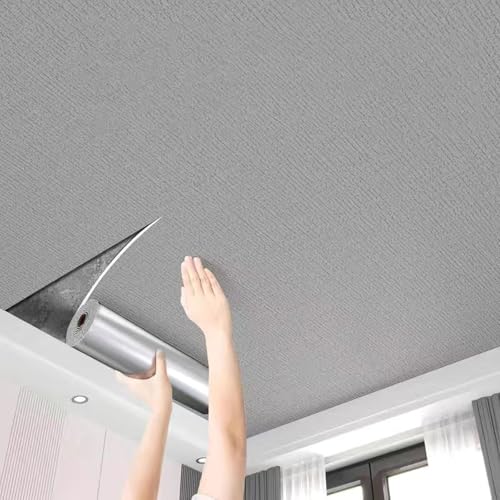 ByteRunning Deckenplatten Selbstklebend,Deckenverkleidung Selbstklebend,Dekoren Deckenpaneele,Abziehbares Design,FüR Dekoration Von Wohnzimmer,Schlafzimmer,Badezimmer von ByteRunning