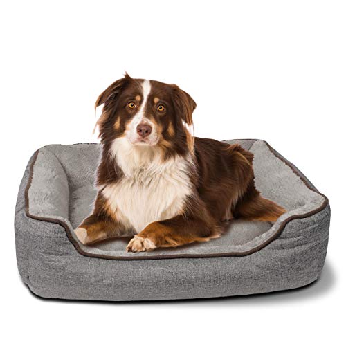 C-Collection Hundebett | Hundekissen | Hundesofa | Hundekorb mit Wendekissen Verschiedene Größen und Farben ((L) 80 x 60 cm Außenmaß, grau) von CCollection