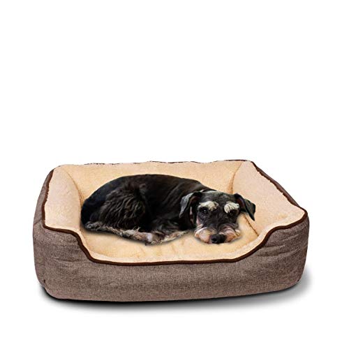 C-Collection Hundebett | Hundekissen | Hundesofa | Hundekorb mit Wendekissen Verschiedene Größen und Farben ((M) 70 x 55 cm Außenmaß, beige/braun) von CCollection