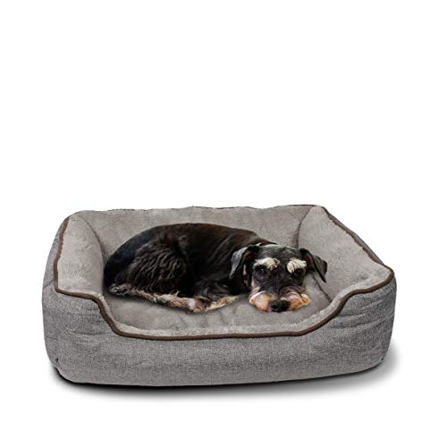 C-Collection Hundebett | Hundekissen | Hundesofa | Hundekorb mit Wendekissen Verschiedene Größen und Farben ((M) 70 x 55 cm Außenmaß, grau) von CCollection