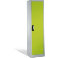 C+P Aktenschrank Acurado mit Drehtür, 5 Ordnerhöhen, H1950xB500xT400mm Front Viridingrün Korpus Lichtgrau von C + P Möbelsysteme