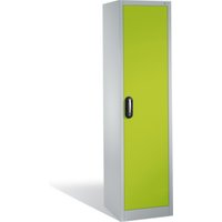 C+P Aktenschrank Acurado mit Drehtür, 5 Ordnerhöhen, H1950xB500xT500mm Front Viridingrün Korpus Lichtgrau von C + P Möbelsysteme