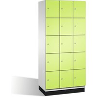 C+P Fächerschrank Cambio auf Sockel, 15 Fächer, H1950xB900xT525mm Front Viridingrün Korpus Lichtgrau von C + P Möbelsysteme