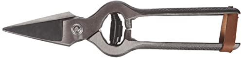 C.K Hufschere, T5720, 240 mm L C.K Hufschere, T5720, 240 mm L von C.K