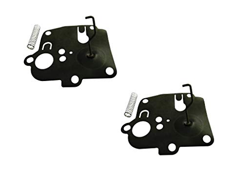 C·T·S Vergaser-Membran-Set ersetzt Briggs & Stratton 391681 passend für 3,5 3,75 Sprint (2 Stück) von C·T·S