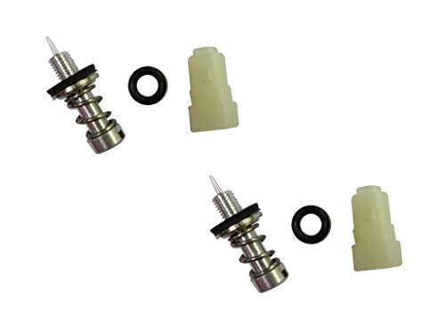 C·T·S Vergaser-Nadelventil-Set ersetzt Brig gs&Stra tton 395508 (2 Stück) von C·T·S