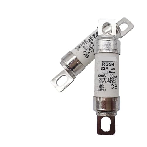 CAALO 1 Stück RGS4 32A flinke Sicherung RGS4-32A GSG 660GH 32A Sicherung von CAALO