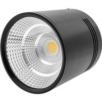 Cablemarkt - COB-LED-Strahler 12 w 220 vac 6000 k 100 mm in schwarzer Farbe von CABLEMARKT