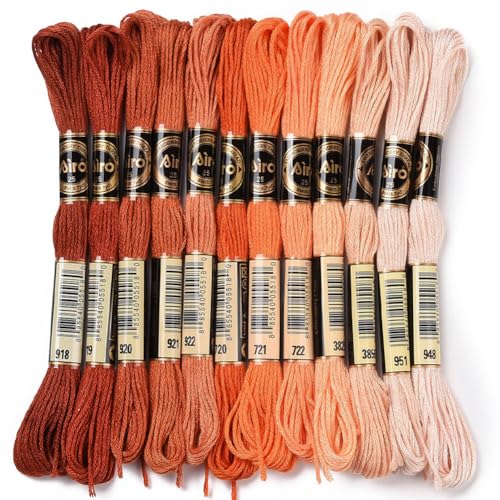 CABODYALS 12 Strang 105 Yards 6 Fädig Buntes Stickgarn Orange Farbverlauf Crewel Freundschaftsarmband Schnur Kreuzstichgarn Garnfaden Für Die Schmuckherstellung Handnähen Nähen Basteln DIY von CABODYALS