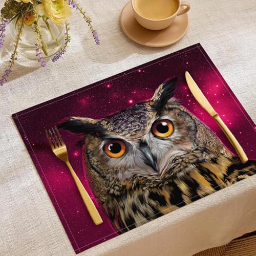 Eule Tischsets Weltraum Stern Waschbar Stoff Dekoration Tischsets Platzset Tischdekorations Digitaldruck Platzsets für Küche 45 x 30 cm 6 Stück von CAEITLRSO