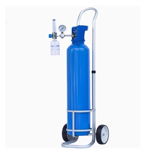 CAFIEDR Verstellbarer Flaschenständer aus Aluminiumlegierung, Transportwagen für Krankenhäuser, Werkstätten und Labore – rollende Gasflaschenlagerung mit Lenkrollen(with Wheels Diameter 6.2 in) von CAFIEDR