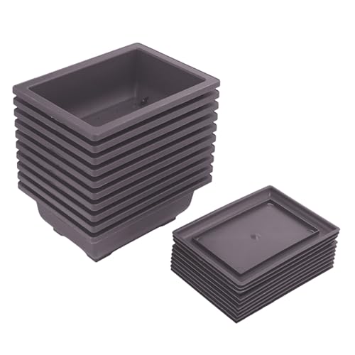 CAIONPLE 10 Packungen Bonsai Trainings Töpfe mit Tablett Kunststoff Bonsai Pflanzen Topf für Garten Wohnen Balkon 16,5X12Cm von CAIONPLE