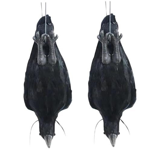CAKEEYUM 2pcs Schwarze Krähen hängen realistische gefiederte Raven Decor Schwarzer Vogel für Halloween -Requisiten Home Yard Garten CAKEEYUM 2pcs Schwarze Krähen hängen realistische gefiederte Raven Decor Schwarzer Vogel für Halloween -Requisiten Home Yard Garten von CAKEEYUM