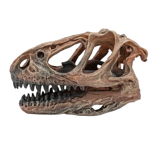 CAKEEYUM Fischtank -Versteck Harz Dinosaurierknochen 5.1x3, 5x2, 2 Fischtankhöhle für Terrarium -Aquarium -Ornamente Dekorationen, Versteck, Dinosaurierknochen, Höhle, Aquarium -Ornamente CAKEEYUM Fischtank -Versteck Harz Dinosaurierknochen 5.1x3, 5x2, 2 Fischtankhöhle für Terrarium -Aquarium -Ornamente Dekorationen, Versteck, Dinosaurierknochen, Höhle, Aquarium -Ornamente von CAKEEYUM