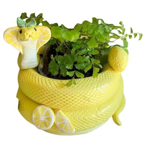 CAKEEYUM Kleine Blumentöpfe Harz erschreckte realistische Schlangenvase mit Zitronendekor einzigartige lustige Tier Pflanzer Sukkulenten Pflanzer für den Hausgarten im Freien CAKEEYUM Kleine Blumentöpfe Harz erschreckte realistische Schlangenvase mit Zitronendekor einzigartige lustige Tier Pflanzer Sukkulenten Pflanzer für den Hausgarten im Freien von CAKEEYUM