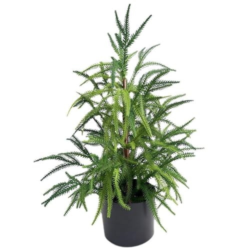 CAKEEYUM Künstlicher Norfolk Kiefernbaum, 22 Zoll lebensechter Norfolk Kiefernbaum im Topf, Kunststoff -Mini -Kiefern für Innentisch Desk Wohnheimdekoration von CAKEEYUM