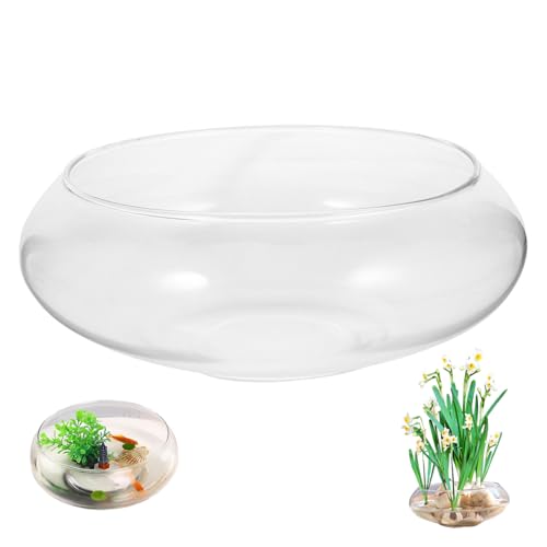 CAKEEYUM Lotus Bowl Pflanzer, 8 Zoll breit Mund klar rundes Glasvase Hydroponic & Sukkulente Glasschale dekorativ für Innen- und Außenbereiche CAKEEYUM Lotus Bowl Pflanzer, 8 Zoll breit Mund klar rundes Glasvase Hydroponic & Sukkulente Glasschale dekorativ für Innen- und Außenbereiche von CAKEEYUM