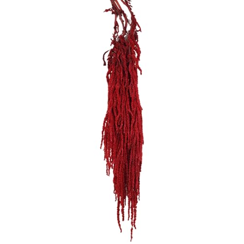 CAKEEYUM Getrockneter Blumenstrauß, 24-31, 5 hängende getrocknete Amaranthus, lebensechte natürliche Rebe getrocknete Blumen, Wiederverwendbare Pflanzen für Hochzeitsstrauß Wandfeier, dunkelrot von CAKEEYUM