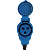 46032 cee Winkelkupplung 16 a 230 v 1 St. - Calima von CALIMA