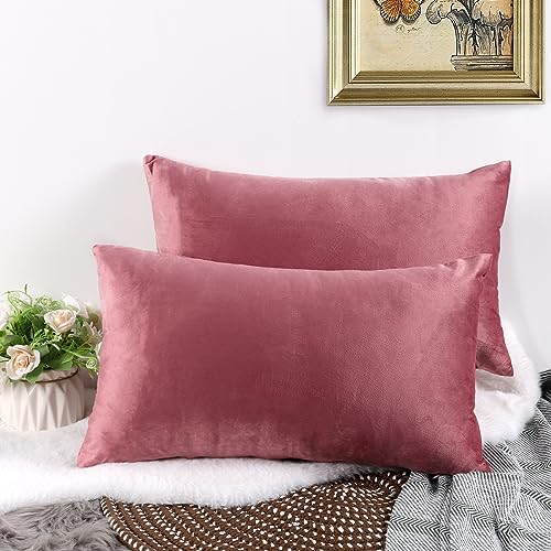 CALIYO Kissenbezug 30x50, Samt Uni Kissenhülle, Kissenbezüge für Zierkissen Dekokissen Sofakissen Couchkissen viele Farben (30x50 cm, Rosa). von CALIYO