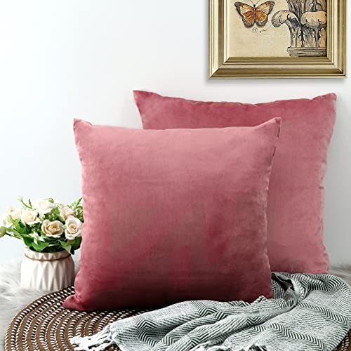 CALIYO Kissenbezug 45x45, Samt Uni Kissenhülle, Kissenbezüge für Zierkissen Dekokissen Sofakissen Couchkissen viele Farben (45x45 cm, Rosa). von CALIYO