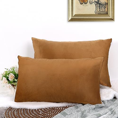 CALIYO Kissenbezug 30x50, Samt Uni Kissenhülle, Kissenbezüge für Zierkissen Dekokissen Sofakissen Couchkissen viele Farben (30x50 cm, Braun). von CALIYO