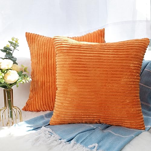 CALIYO Kissenhülle Kord Uni 2er Set, Kissenbezug 40x40 Kissenbezüge für Zierkissen Dekokissen Sofakissen Couchkissen in vielen Farben. CALIYO Kissenhülle Kord Uni 2er Set, Kissenbezug 40x40 Kissenbezüge für Zierkissen Dekokissen Sofakissen Couchkissen in vielen Farben. von CALIYO