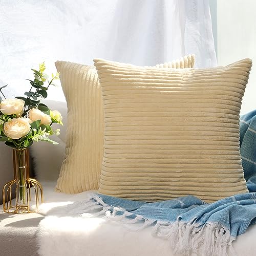 CALIYO Kissenhülle Kord Uni 2er Set, Kissenbezug 60x60 Kissenbezüge für Zierkissen Dekokissen Sofakissen Couchkissen in vielen Farben. CALIYO Kissenhülle Kord Uni 2er Set, Kissenbezug 60x60 Kissenbezüge für Zierkissen Dekokissen Sofakissen Couchkissen in vielen Farben. von CALIYO