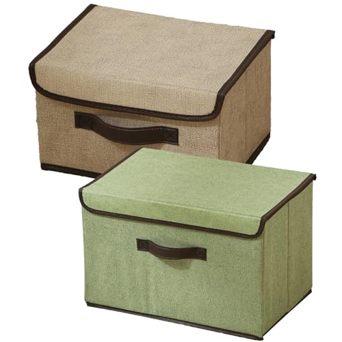 Aufbewahrungsbox mit Deckel, Storage Boxes mit Griffen, Boxen Aufbewahrung 2er Set, 27 x 20 x 16 cm, Organizer Box, Kisten Aufbewahrung mit Deckel, Ordnungsboxen für Schrank, Kleidung (Mischfarbe-1) von CALLYSONIC