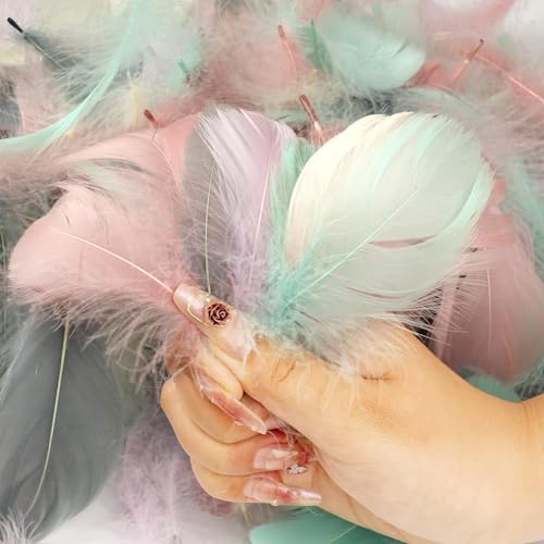 CALLYSONIC 100 Stück Bunte Federn zum Basteln, Traumfänger Basteln,6~12cm Feder Deko für DIY Handwerk, Traumfänger, Kopfschmuck, Federblumen, Hochzeit (Morandi Farben) von CALLYSONIC