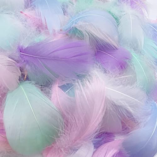 CALLYSONIC 100 Stück Bunte Federn zum Basteln, Traumfänger Basteln,6~12cm Feder Deko für DIY Handwerk, Traumfänger, Kopfschmuck, Federblumen, Hochzeit (Macaron Farben) von CALLYSONIC