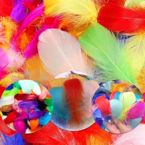 CALLYSONIC 100 Stück Bunte Federn, Federn zum Basteln, Feder Handwerk, Federn Bunt, 6~12cm Feather Deko, Bastelsachen Federn, für DIY Handwerk, Traumfänger, Kopfschmuck, Federblumen, Hochzeit von CALLYSONIC