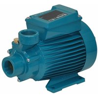 Calpeda - Peripheralpumpe CT60m 0,33kW Einzelphase 230V 50Hz ctm Wasserpumpe von CALPEDA