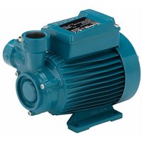 Peripheralpumpe Calpeda CT61m 0,33kW Einzelphase 230V 50Hz ctm Wasserpumpe von CALPEDA