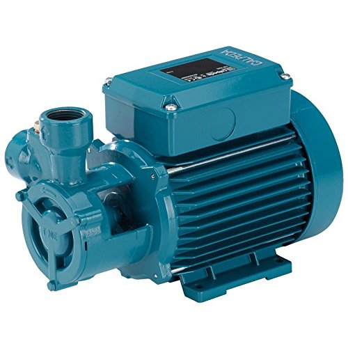 Peripheralpumpen TP100/A 2,2kW 3Hp Drei Phasen 400V 50Hz CALPEDA TP von CALPEDA