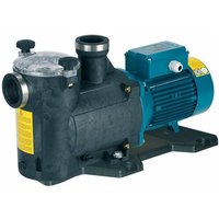 Selbstansaugende Schwimmbadpumpe CALPEDA MPC51m 1,1kW 1,5Hp 230V 50Hz MPCM von CALPEDA