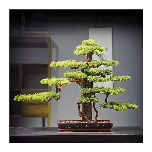 Künstlicher Bonsai-Baum Künstlicher Bonsai im chinesischen Stil, einladende Kiefer, falsche Kieferndekoration, Glücksbaum, Landschaftsdekoration, künstliche Bäume und Pflanzen Gefälschte Pflanze im To von CALQYSH