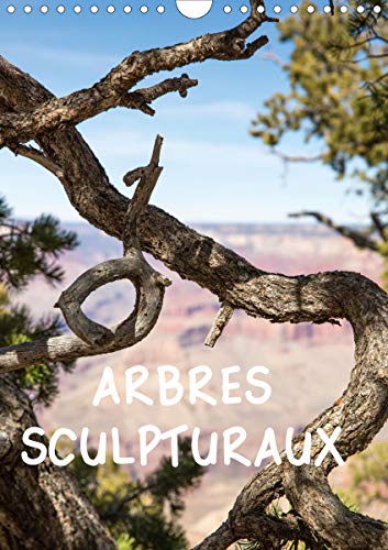 ARBRES SCULPTURAUX (Calendrier mural 2020 DIN A4 vertical): L'arbre, comme sculpture, dans des paysages grandioses où il devient objet d'art, symbole ... où il devient objet d'art, symbole ou refuge. von CALVENDO