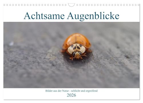 Achtsame Augenblicke (Wandkalender 2026 DIN A3 quer), CALVENDO Monatskalender: Bewusste achtsame Fotografie aus der Natur - schlicht und ergreifend (CALVENDO Natur) von CALVENDO