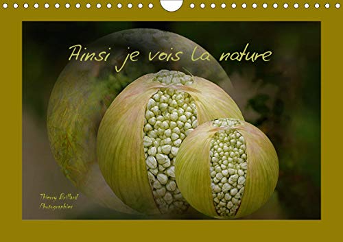 Ainsi je vois la nature (Calendrier mural 2020 DIN A4 horizontal): Des photos de fleurs mises en scène avec des différents graphismes (Calendrier mensuel, 14 Pages ) (Calvendo Nature) von CALVENDO