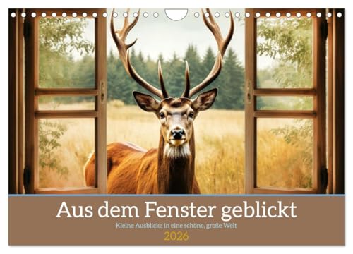 Aus dem Fenster geblickt (Wandkalender 2026 DIN A4 quer), CALVENDO Monatskalender: Kleine Fenster in eine schöne Welt! (CALVENDO Orte) von CALVENDO