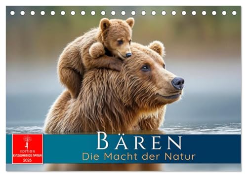 Bären - Die Macht der Natur (Tischkalender 2026 DIN A5 quer), CALVENDO Monatskalender: Meister Petz - Augenblicke aus dem wilden Leben. (CALVENDO Tiere) von CALVENDO
