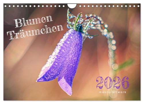 Blumen Träumchen (Wandkalender 2026 DIN A4 quer), CALVENDO Monatskalender: Makrofotografie zum Träumen (CALVENDO Natur) von CALVENDO