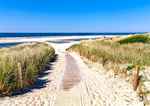 CALVENDO Langeoog - Strandweg, Poster DIN A2 quer, Bilder, Kunstdruck, Wandbild, Wanddeko, Prints ohne Rahmen von CALVENDO