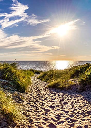 CALVENDO Sandweg zum Meer am Weststrand, Poster DIN A2 hoch, Bilder, Kunstdruck, Wandbild, Wanddeko, Prints ohne Rahmen von CALVENDO