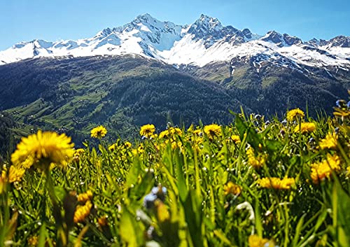 CALVENDO St Moritz, Schweiz, Poster DIN A3 quer, Bilder, Kunstdruck, Wandbild, Wanddeko, Prints ohne Rahmen von CALVENDO