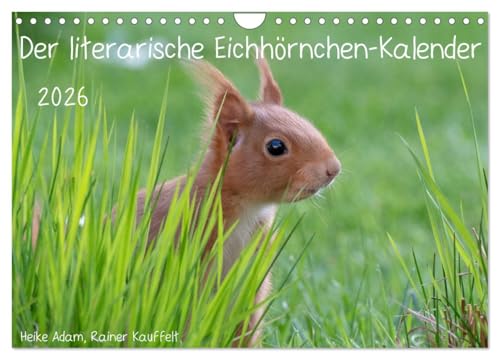 Der literarische Eichhörnchen-Kalender (Wandkalender 2026 DIN A4 quer), CALVENDO Monatskalender: Positive Sprüche mit passenden Fotos von Eichhörnchen. (CALVENDO Tiere) von CALVENDO