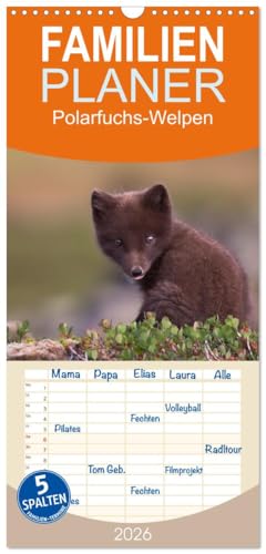 Familienplaner 2026 - Polarfuchs-Welpen mit 5 Spalten (Wandkalender, 21 cm x 45 cm), CALVENDO: Neugierige Pfoten auf Tour (CALVENDO Tiere) von CALVENDO