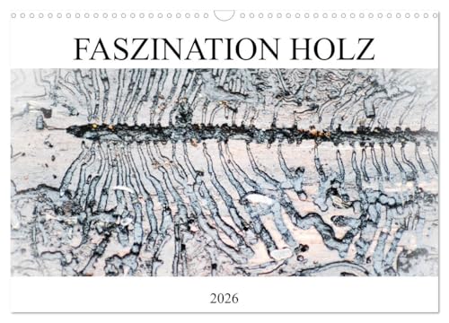 Faszination Holz (Wandkalender 2026 DIN A3 quer), CALVENDO Monatskalender: Viele Männer sind fasziniert vom Holz und Holzmachen (CALVENDO Natur) von CALVENDO
